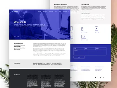 Magora next about develop history klein blue minimal site