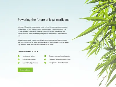 Website design concept landing page marijuana website