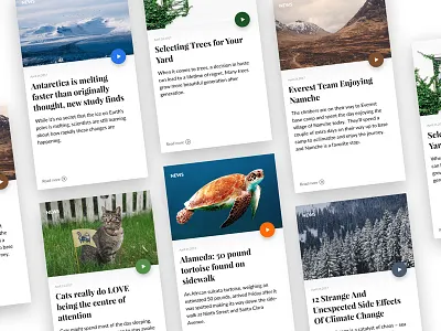 News App animals articles blogs card design cat events minimal news shapes split fold ui web design
