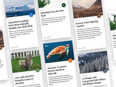 News App animals articles blogs card design cat events minimal news shapes split fold ui web design