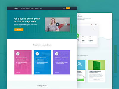 Profiling Landing Page clean landing page profile management profiling website