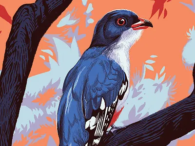 Tocororo bird cuba cuban drawing illustration nature painting tocororo