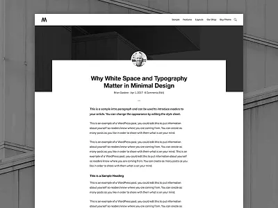 Monochrome Single Post genesis framework minimalist wordpress