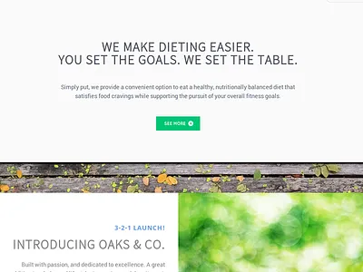 My Failed Start-up - Rhai Foods design fail food inkscape iterations startup website