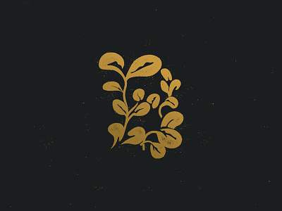 B Mark b leaves lettering logo microgreens plants sprouts