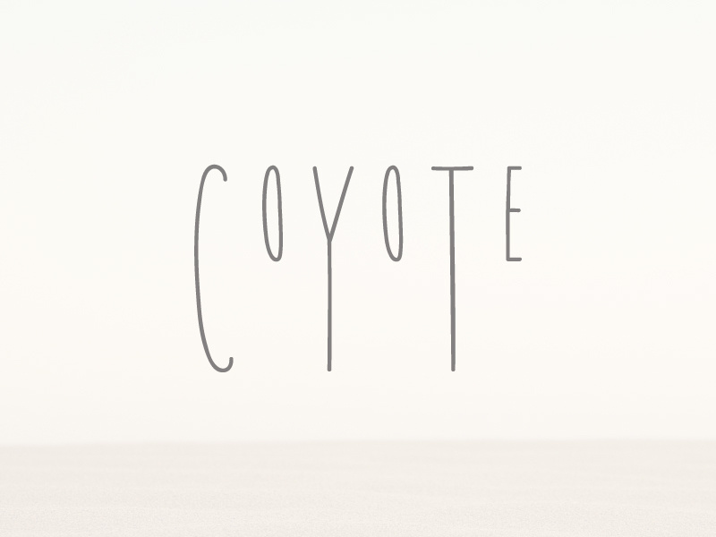 Example of Coyote | A Playful Font