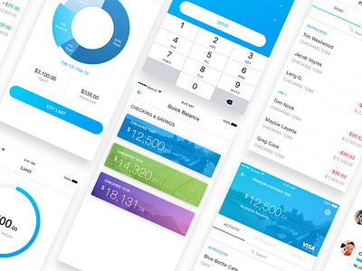 Financial App fin app financial financial app balance view ios mobile