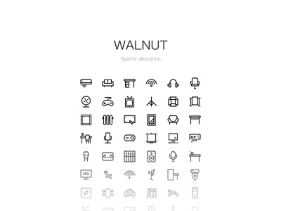 Walnut icon icon walnut icon