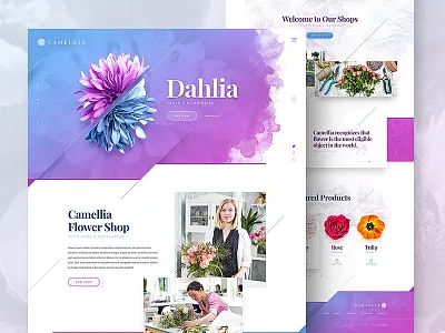 Camellia camellia design drawingart ecommerce flower responsive shop ui ux web webdesign website