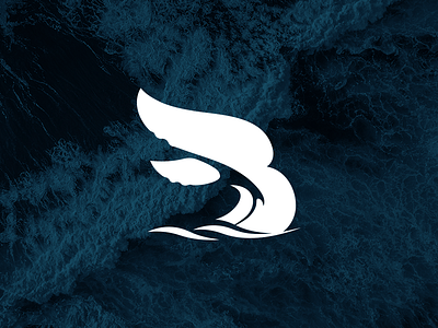 Boaty boaty branding logo streamer twitch