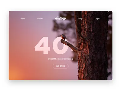 Practice: 404 page 404 blank page error