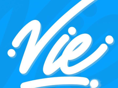 Vie Lettering brushlettering letterage lettering type typo