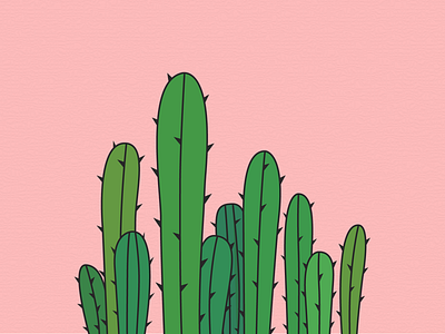 仙人掌 cactus illustration