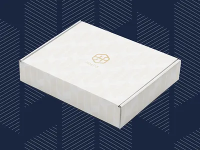 Airbnb - Subscription Box Design airbnb box hotel mobile modern package design packaging startup subscription vacation rental