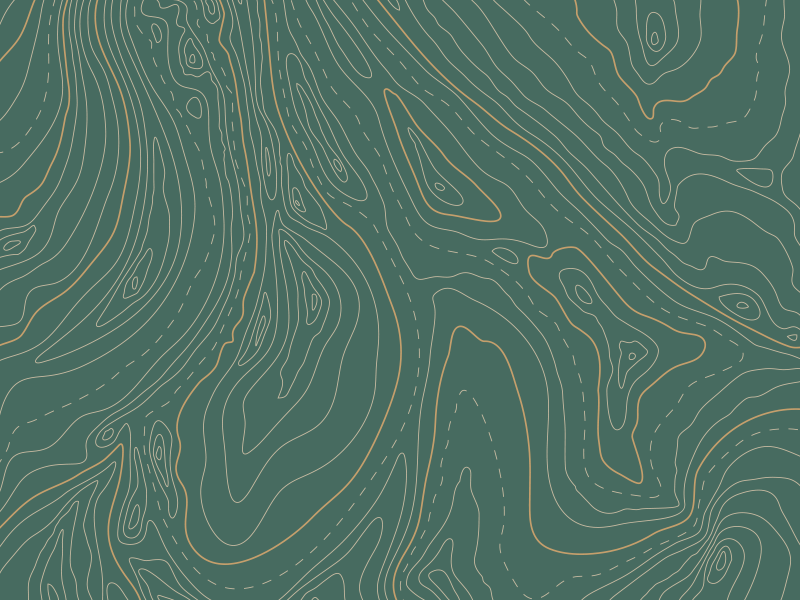 Topographic Pattern by Rosemary Kathryn on Dribbble