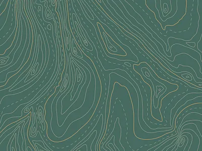 Topographic Pattern design illustration pattern design topograph topography