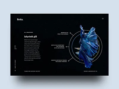 Betta Breathing breathing facts fighting fish gradient siamese ui ux
