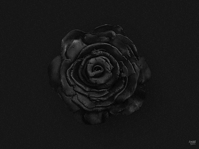 Made from Clay. black clay digital imaging photoshop retouch rose sculpt