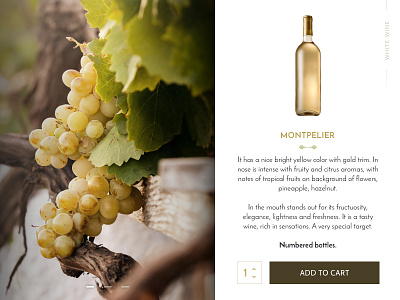 Wine is Health cart interface design landing online pantone principle scroll shop ugly color website wine