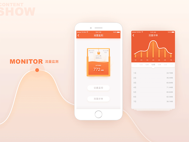 Data Stream Monitor by 果冻GoldenJoe on Dribbble