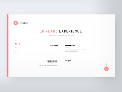 CV Webstite - Experience app clean cv dailyui minimal typo typography ui ux web website white