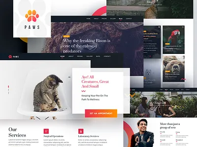 PAWS Veterinary Website in Adobe XD about adobe xd adobexd blog contact us dog modern team ui ux veterinary web