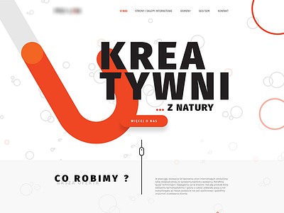 Web Design - PRO-LINK - Bydgoszcz creative design graphic illustrator photoshop portfolio site ui ux web webdesign website
