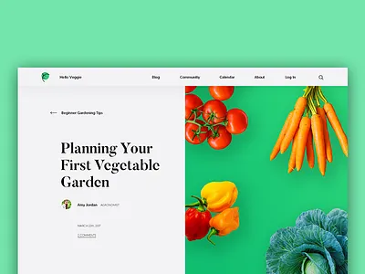 Hello Veggie Blog blog post ui vegetables veggie web