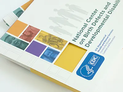 CDC & NCBDDD Pitch Packets branding cdc color design illustration lettering package design typography