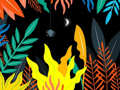 A quiet night illustrations