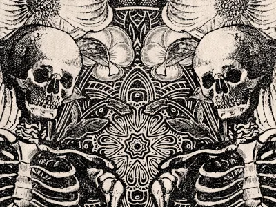 Muse - Til Death abstract apparel drawn flower geometry illustration shirt skeleton skull tshirt typography
