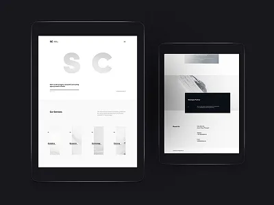 Sapience Consultancy agency clean company data agency data analysis elegant minimal research simple web design