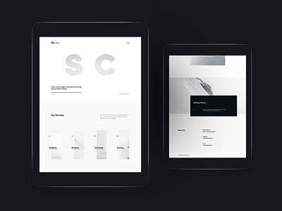 Sapience Consultancy agency clean company data agency data analysis elegant minimal research simple web design