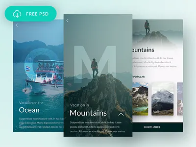 Free Travel App app clean flow free freebie interface mobile simple travel ui ux