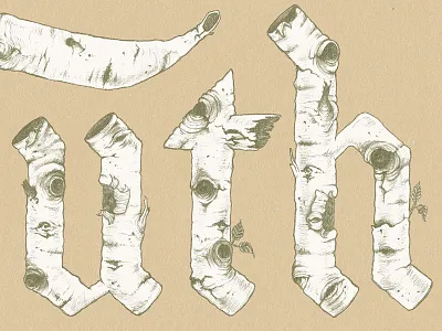 Truth birch tree hand lettering illustration illustrative type nature typography wood texture