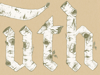 Truth birch tree hand lettering illustration illustrative type nature typography wood texture