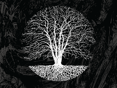 10 Year Anniversary Record Collection (SSX01-05) vinyl