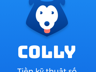 Vietnam wallet p2p payments vietnam wallet