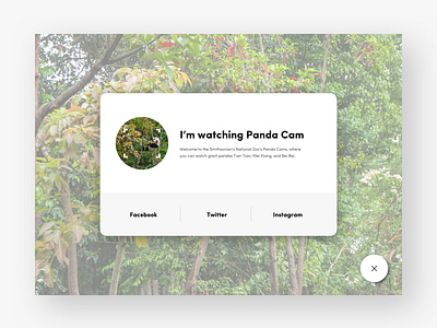 Daily UI #010 Social Share cam daily ui panda share social ui ux