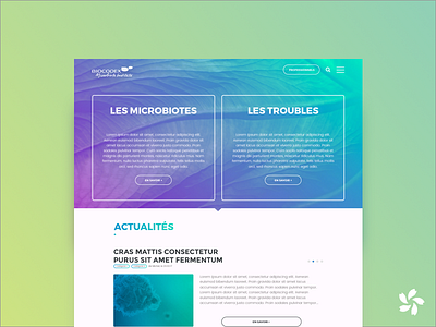 Biocodex Home page desktop gradient gut microbiota health home page medical microbiota santé website