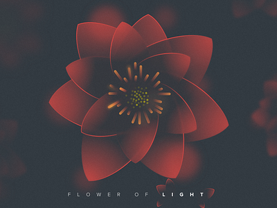 Flower Of Light flower ilustration light noise sketch app