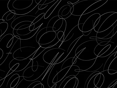 Script Capitals font illustration lettering script type typography