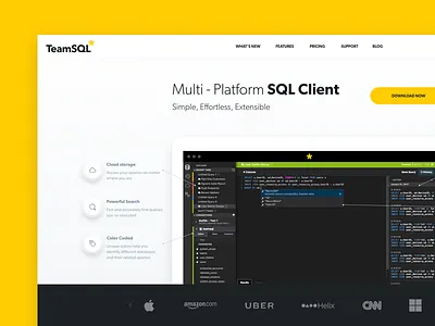 TeamSQL Landing Page database design landing page layout teamsql ui ux website