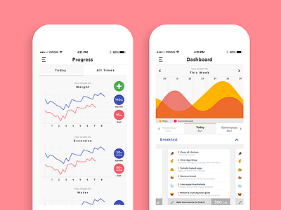 DietHub Mobile App andoird app charts diethub google ios iphone market mobile play ui ux