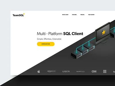 TeamSQL Landing Exploration design hero isometric landing page layout ui ux website