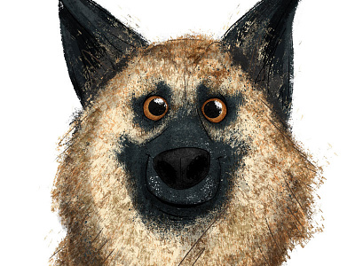 #adoptadoodle project - Sawyer - Foster Dogs NYC- NY, NY adoptadoodle adoptadoodle project animals childrens book childrens illustration dog illustration pets
