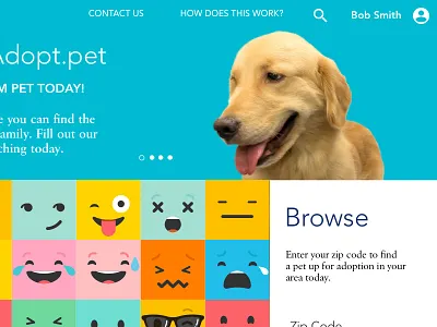 Pet Adoption UX Case Study - Visual Landing Page