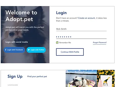 Pet Adoption UX Case Study - Login Visual Design