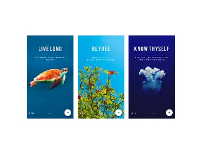 Mobile Introduction Screens Exploration android introduction ios mobile phone photography ui ux walkthrough