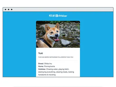 Max - Email Template dogs email email design newsletter responsive email